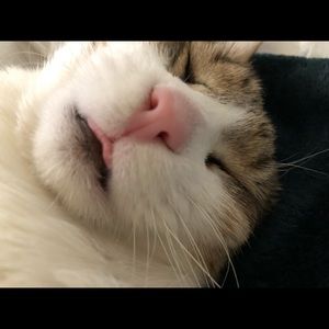 Meet your Posher, Robyn